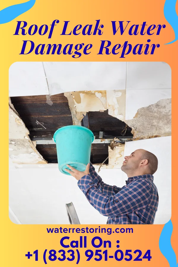 Roof Leak Water Damage Repair in Orrville, OH