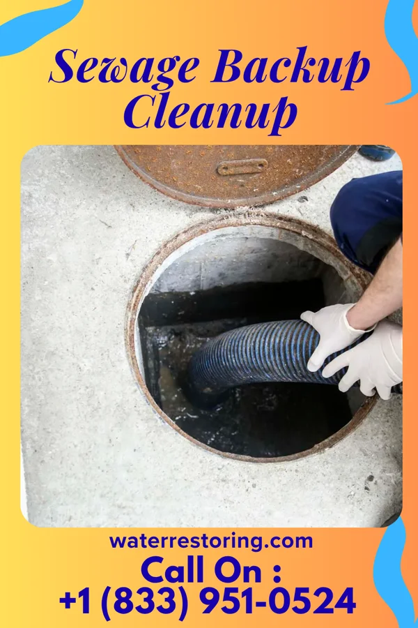 Sewage Backup Cleanup in Orrville, OH