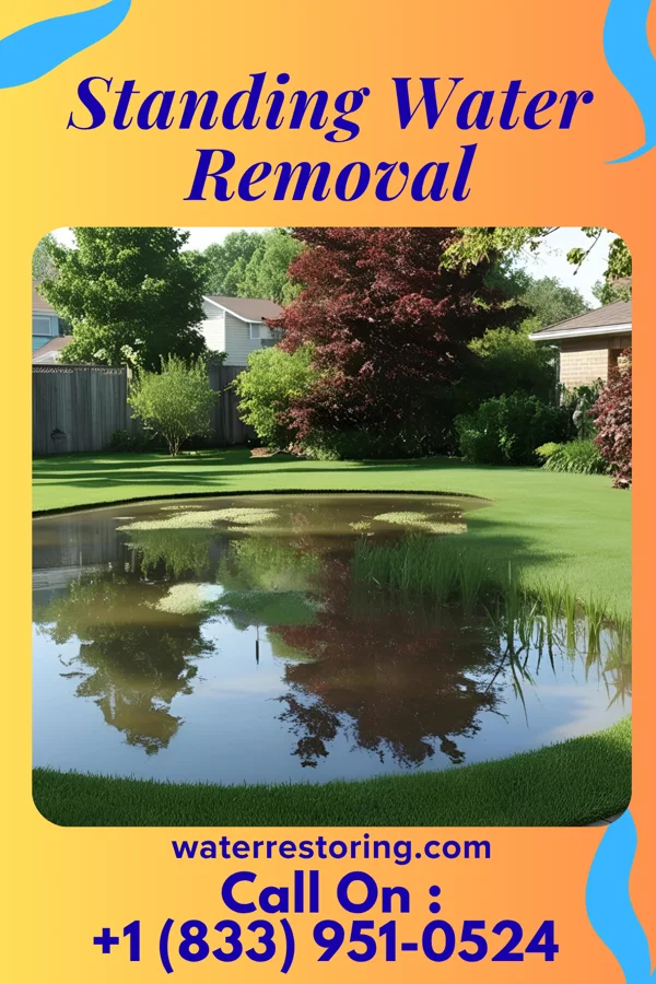 Standing Water Removal in Orrville, OH